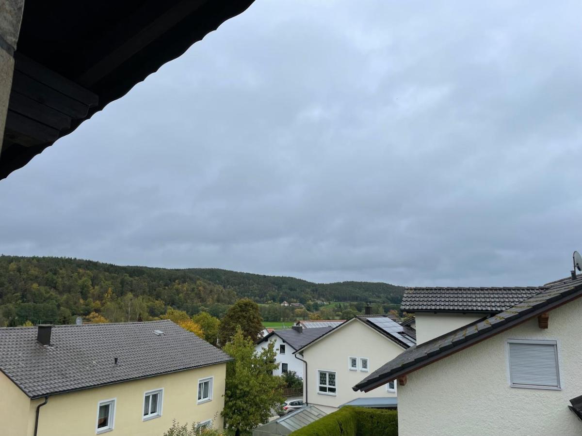 Modernes Apartment Mit Top Ausstattung Und Kamin Im Oberpfaelzer Seenland Nittenau Eksteriør bilde