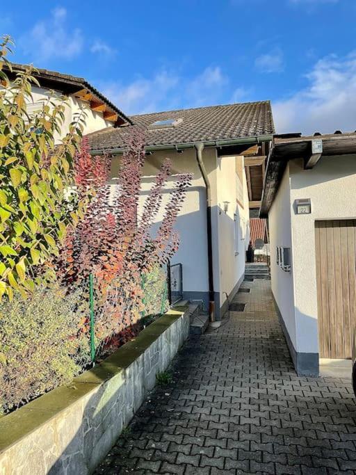 Modernes Apartment Mit Top Ausstattung Und Kamin Im Oberpfaelzer Seenland Nittenau Eksteriør bilde