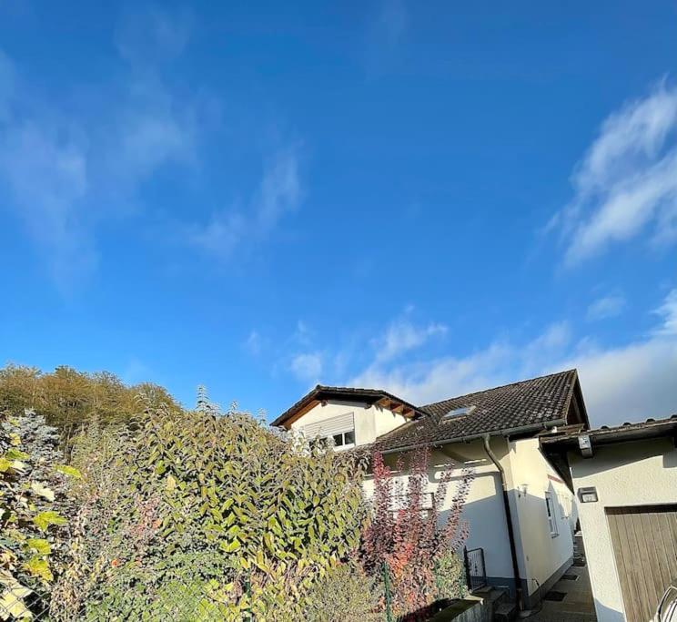 Modernes Apartment Mit Top Ausstattung Und Kamin Im Oberpfaelzer Seenland Nittenau Eksteriør bilde